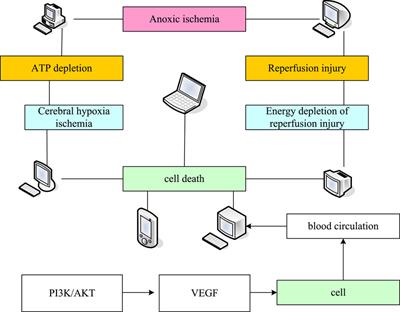 Microrna-206 induces hypoxic necrosis of femoral head by inhibiting VEGF/PI3K/AKT signaling pathway